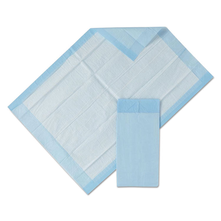 Protection Plus Disposable Underpads, 23 x 36, Blue, 25/Bag, 6 Bag/Carton
