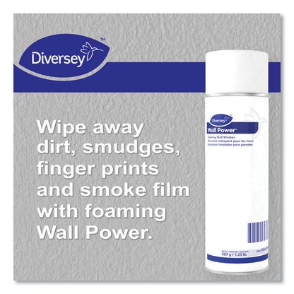 Wall Power Foaming Wall Washer, 20 oz Can, 12/Carton