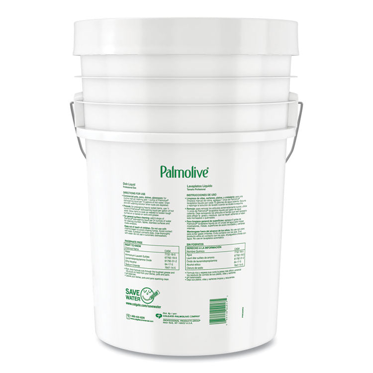 Professional Dishwashing Liquid, Original Scent, 5 gal Pail
