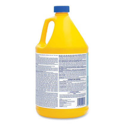 No-Rinse Floor Disinfectant, 1 gal, 4/Carton