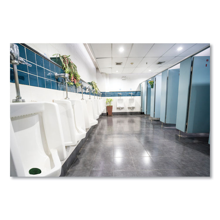 Eco-Fresh Urinal Block, Non-Para, Green Apple Scent, Green, 12/Box, 12 Boxes/Carton