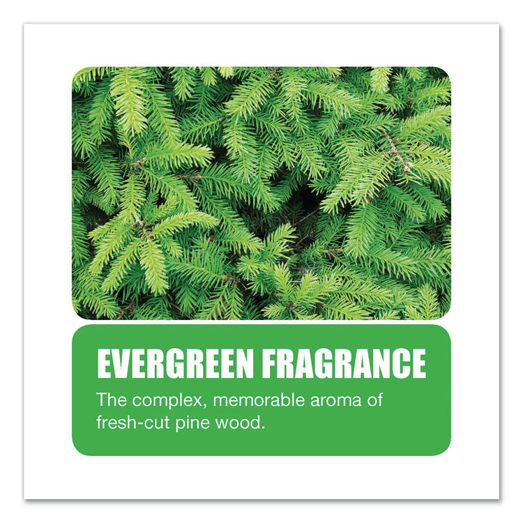 Non-Para Toilet Bowl Block, Lasts 30 Days, Evergreen Scent, White, 12/Box