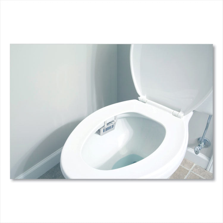 Non-Para Toilet Bowl Block, Lasts 30 Days, Evergreen Scent, White, 12/Box