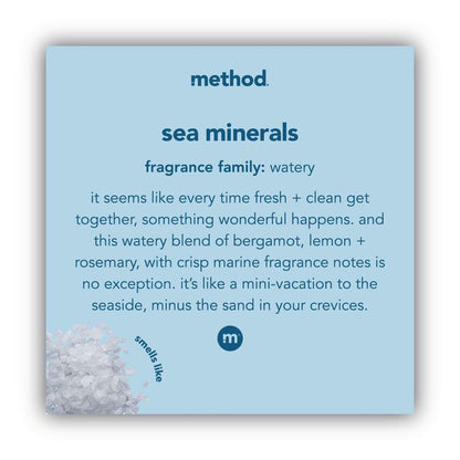 Foaming Hand Wash, Sea Minerals Scent, 10 oz, 6/Carton