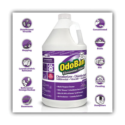 Concentrate Odor Eliminator and Disinfectant, Lavender, 1 gal Bottle, 4/Carton