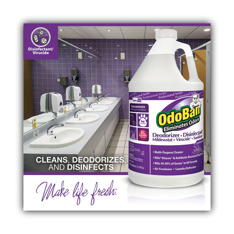 Concentrate Odor Eliminator and Disinfectant, Lavender, 1 gal Bottle, 4/Carton