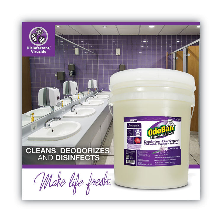 Concentrated Odor Eliminator and Disinfectant, Lavender, 5 gal Pail