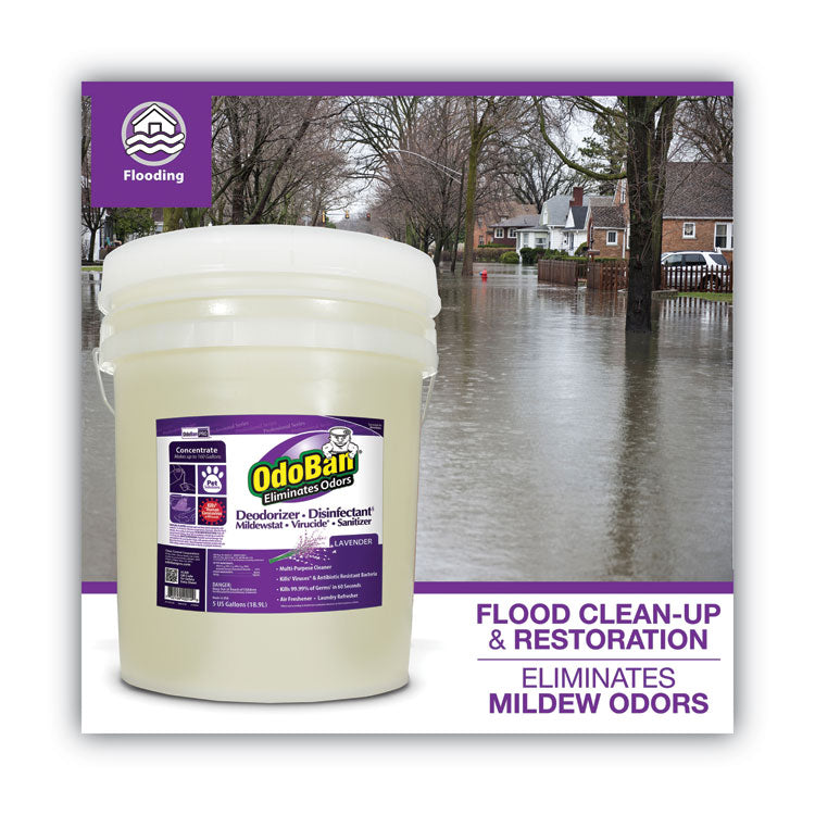 Concentrated Odor Eliminator and Disinfectant, Lavender, 5 gal Pail