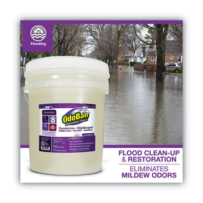 Concentrated Odor Eliminator and Disinfectant, Lavender, 5 gal Pail