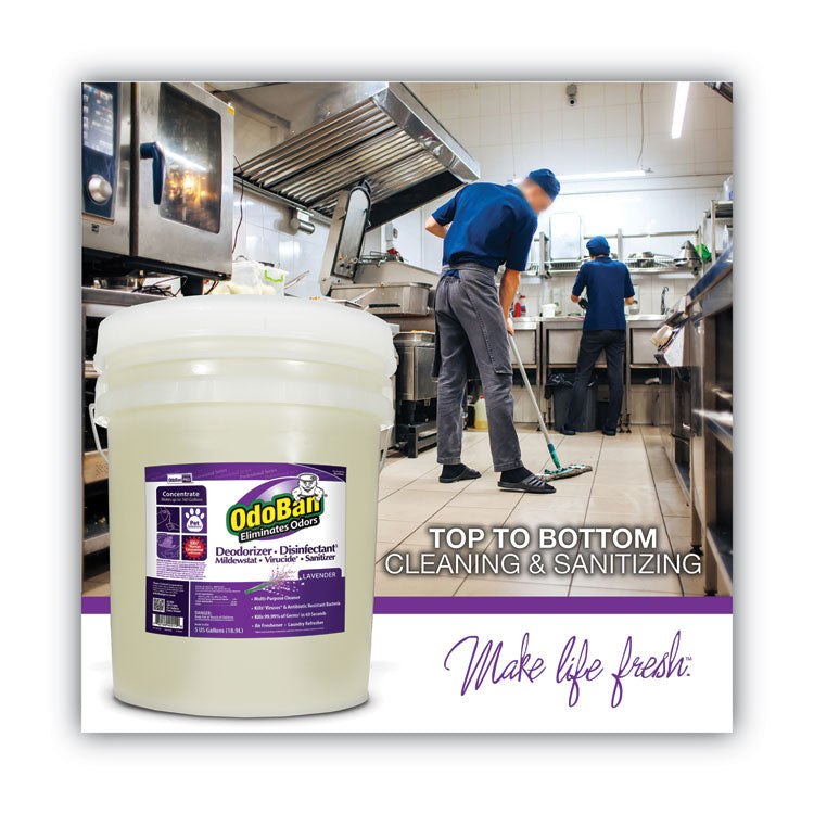 Concentrated Odor Eliminator and Disinfectant, Lavender, 5 gal Pail