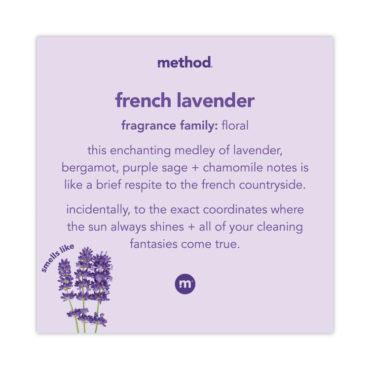 Foaming Hand Wash, French Lavender Scent, 10 oz, 6/Carton
