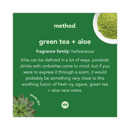 Foaming Hand Wash, Green Tea and Aloe Scent, 10 oz