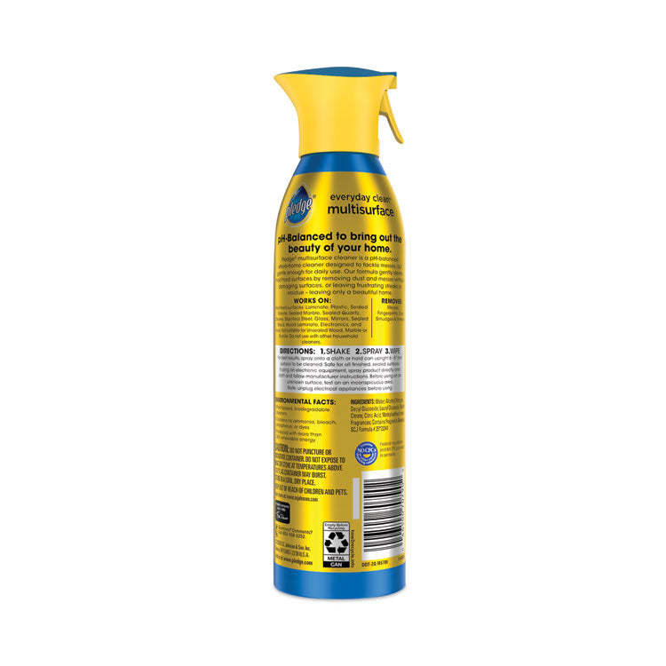 Multi-Surface Everyday, Rainshower Scent, 9.7 oz Aerosol Spray, 6/Carton