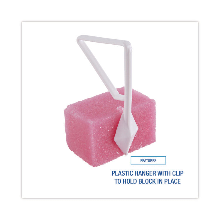 Para Toilet Bowl Deodorizer Block, Cherry Scent, Pink, 4 oz, 12/Box
