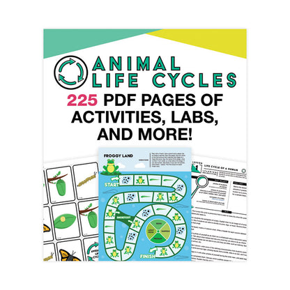 In a Flash USB, Animal Lifestyles, Grades K to 3, 225 Pages