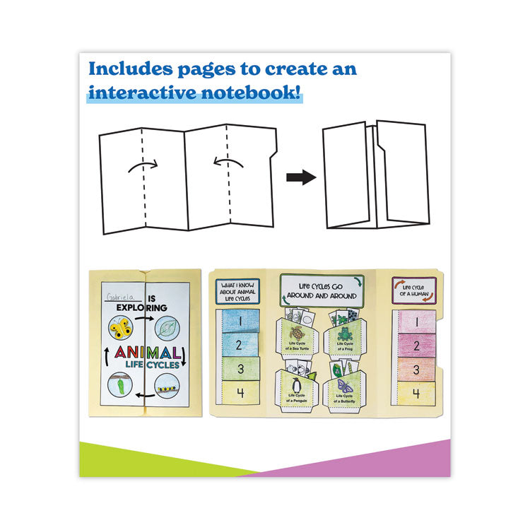 In a Flash USB, Animal Lifestyles, Grades K to 3, 225 Pages