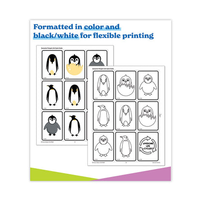 In a Flash USB, Animal Lifestyles, Grades K to 3, 225 Pages