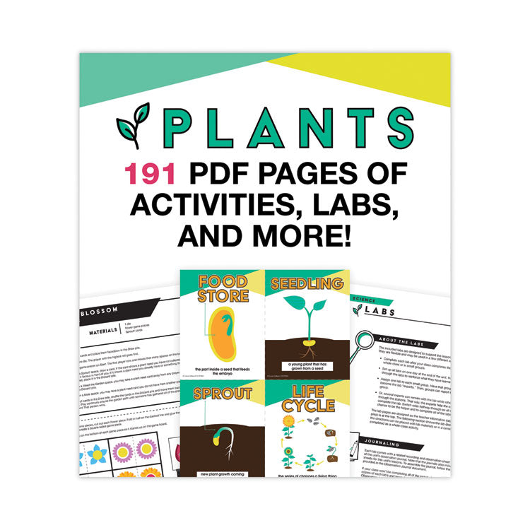 In a Flash USB, Plants, Grades K to 3, 191 Pages
