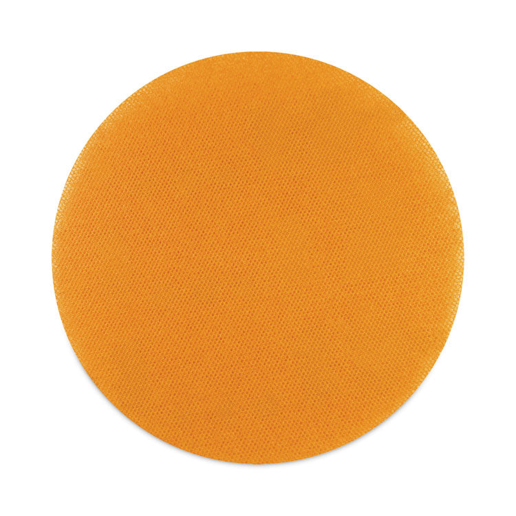 Cleaning/Abrasion Drive Plate, 20"