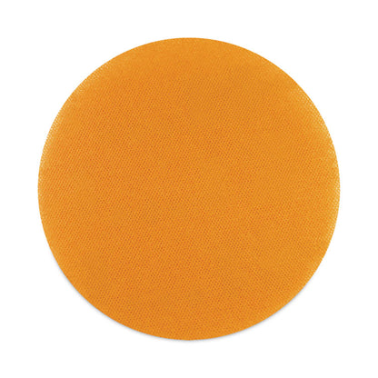 Cleaning/Abrasion Drive Plate, 20"