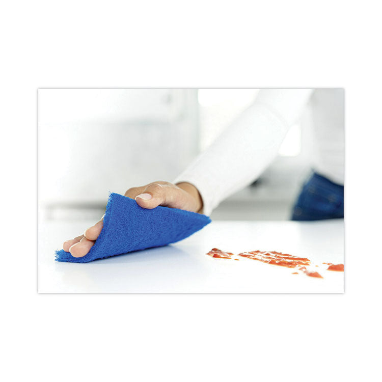 Non-Scratch Scour Pads, 3 x 6, Blue, 10/Carton