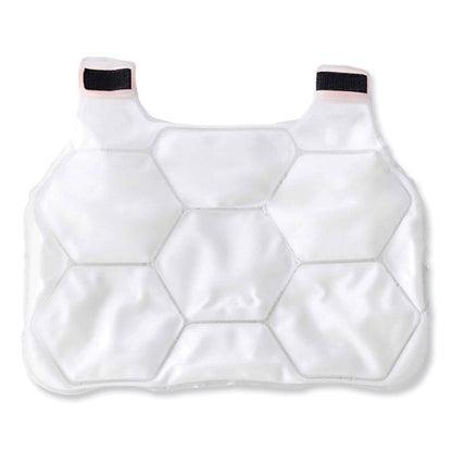 Chill-Its 6220 Phase Change Cooling Vest Charge Packs, Small/Medium, 16.25 x 12, 2/Pack