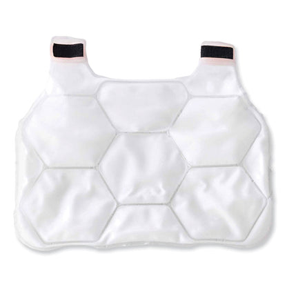 Chill-Its 6220 Phase Change Cooling Vest Charge Packs, Large/X-Large, 18 x 14.75, 2/Pack