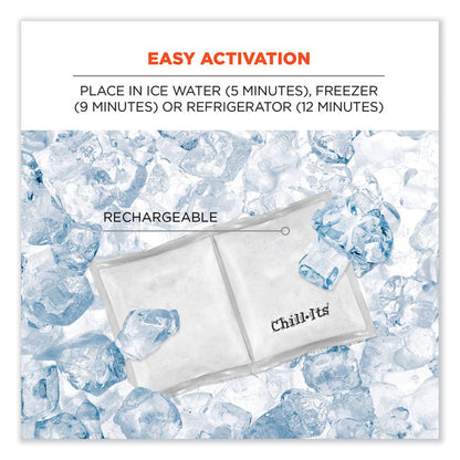 Chill-Its 6283 Rechargeable Phase Change Ice Pack, 6 x 3