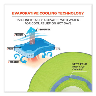 ab2ead516a3d3d5088ae524d554a0545