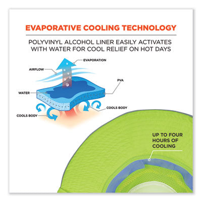 a7f8623bb2d920c9a5e7f9f75e7cbfcb