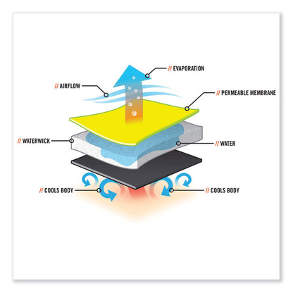 Chill-Its 6685 Premium Dry Evaporative Cooling Vest with Zipper, Nylon, 3X-Large, Lime