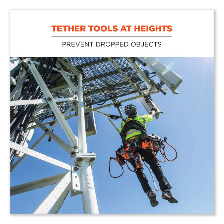 Squids 3100 Lanyard with Aluminum Carabiner + Cinch-Loop, 10 lb Max Working Capacity, 42" to 54" Long, Lime