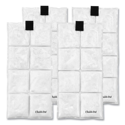 Chill-Its 6250 Lightweight Phase Change Cooling Packs, 6 x 13, 4/Pack
