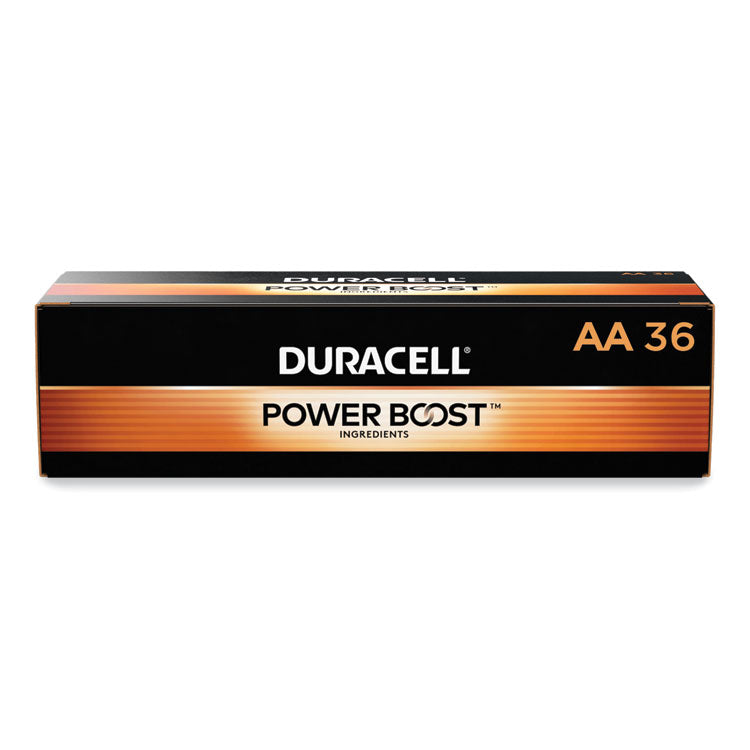 POWER BOOST Coppertop Alkaline AA Batteries, 36/Pack