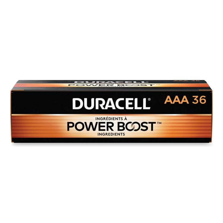 POWER BOOST Coppertop Alkaline AAA Batteries, 36/Pack