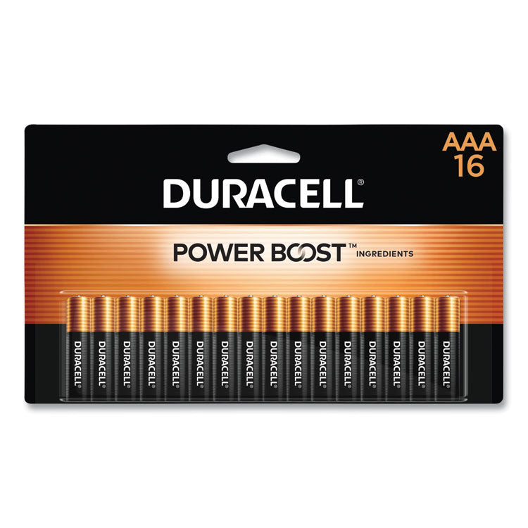POWER BOOST Coppertop Alkaline AAA Batteries, 16/Pack