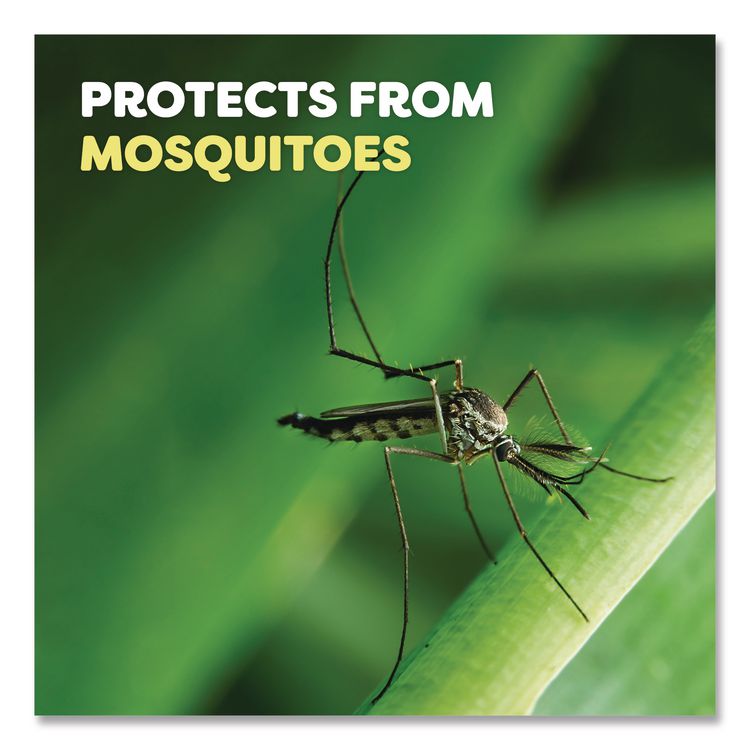 Deep Woods Dry Insect Repellent, 4 oz Aerosol Spray, 12/Carton