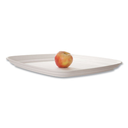 Regalia Renewable Sugarcane Tray, 10.24 x 16.54, White, Sugarcane, 100/Carton