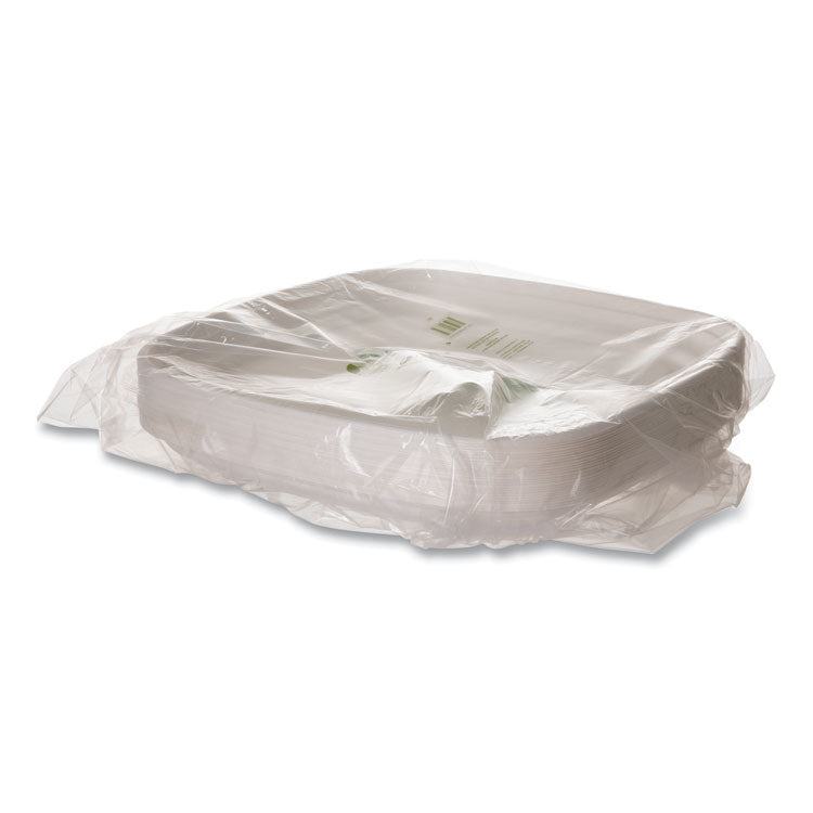 Regalia Renewable Sugarcane Tray, 10.24 x 16.54, White, Sugarcane, 100/Carton