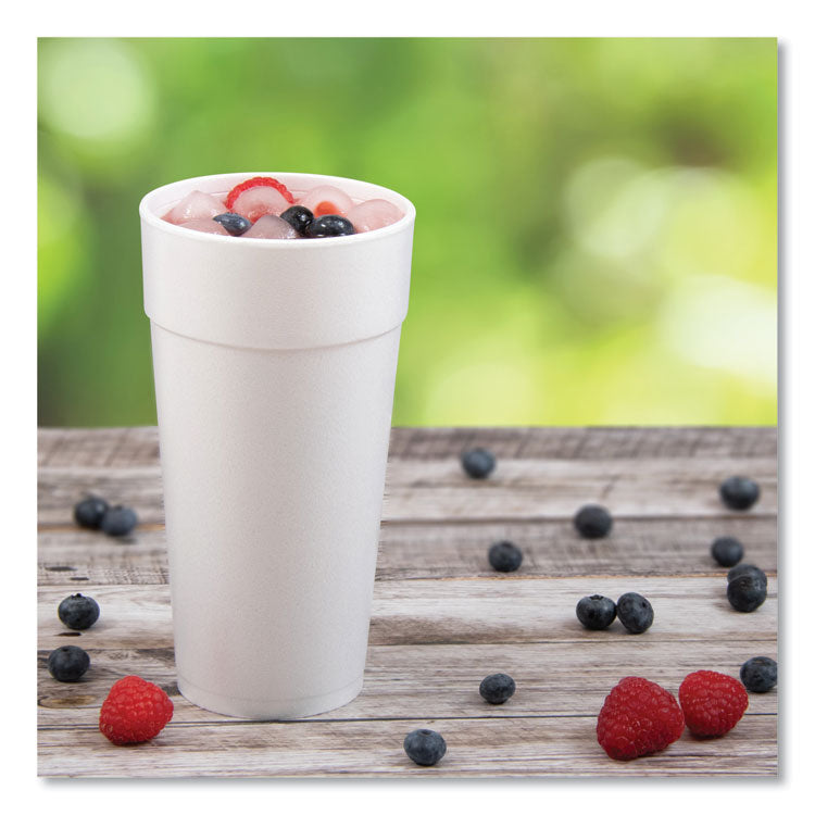 Foam Drink Cups, Hot/Cold, 24 oz, White, 25/Bag, 20 Bags/Carton