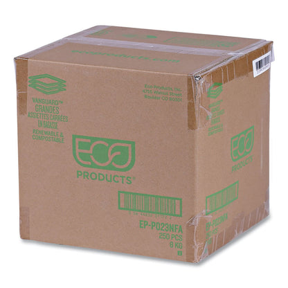 Vanguard Renewable and Compostable Sugarcane Plates, 10 x 10, White, 250/Carton