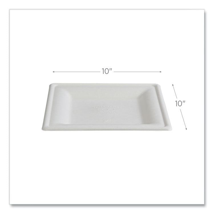 Vanguard Renewable and Compostable Sugarcane Plates, 10 x 10, White, 250/Carton