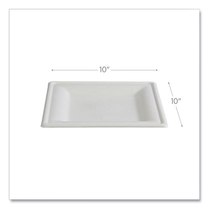 Vanguard Renewable and Compostable Sugarcane Plates, 10 x 10, White, 250/Carton