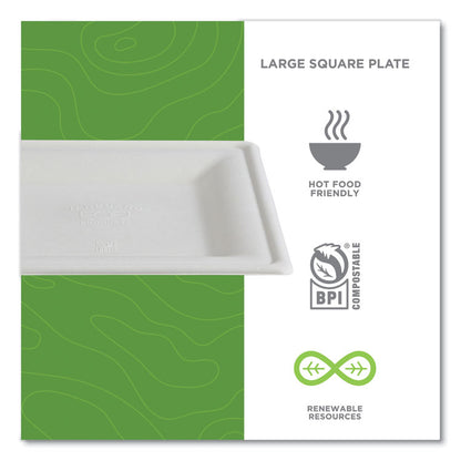Vanguard Renewable and Compostable Sugarcane Plates, 10 x 10, White, 250/Carton
