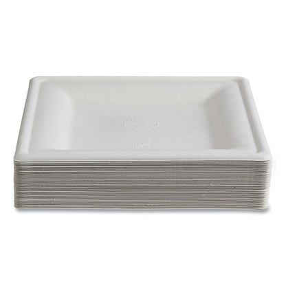 Vanguard Renewable and Compostable Sugarcane Plates, 10 x 10, White, 250/Carton