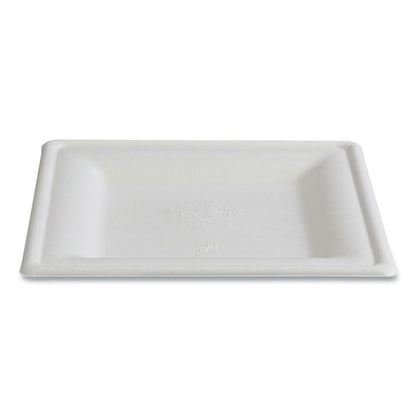 Vanguard Renewable and Compostable Sugarcane Plates, 10 x 10, White, 250/Carton