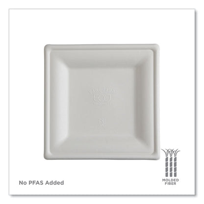 Vanguard Renewable and Compostable Sugarcane Plates, 10 x 10, White, 250/Carton