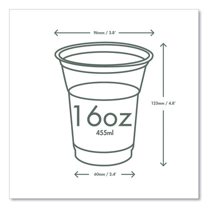 96-Series Cold Cup, 16 oz, Plastic, Clear/Green, 1,000/Carton