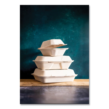 White Molded Fiber Clamshell Containers, Compostable, 3 Compartments, 9 x 18 x 2, White, Sugarcane, 200/Carton