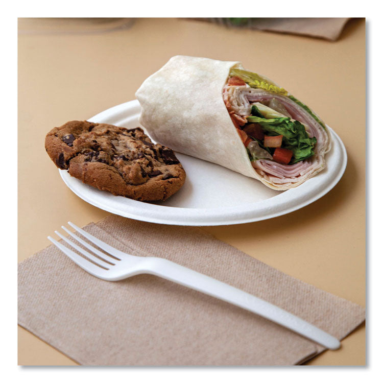 Vanguard Renewable and Compostable Sugarcane Plates, 10" dia, White, 500/Carton